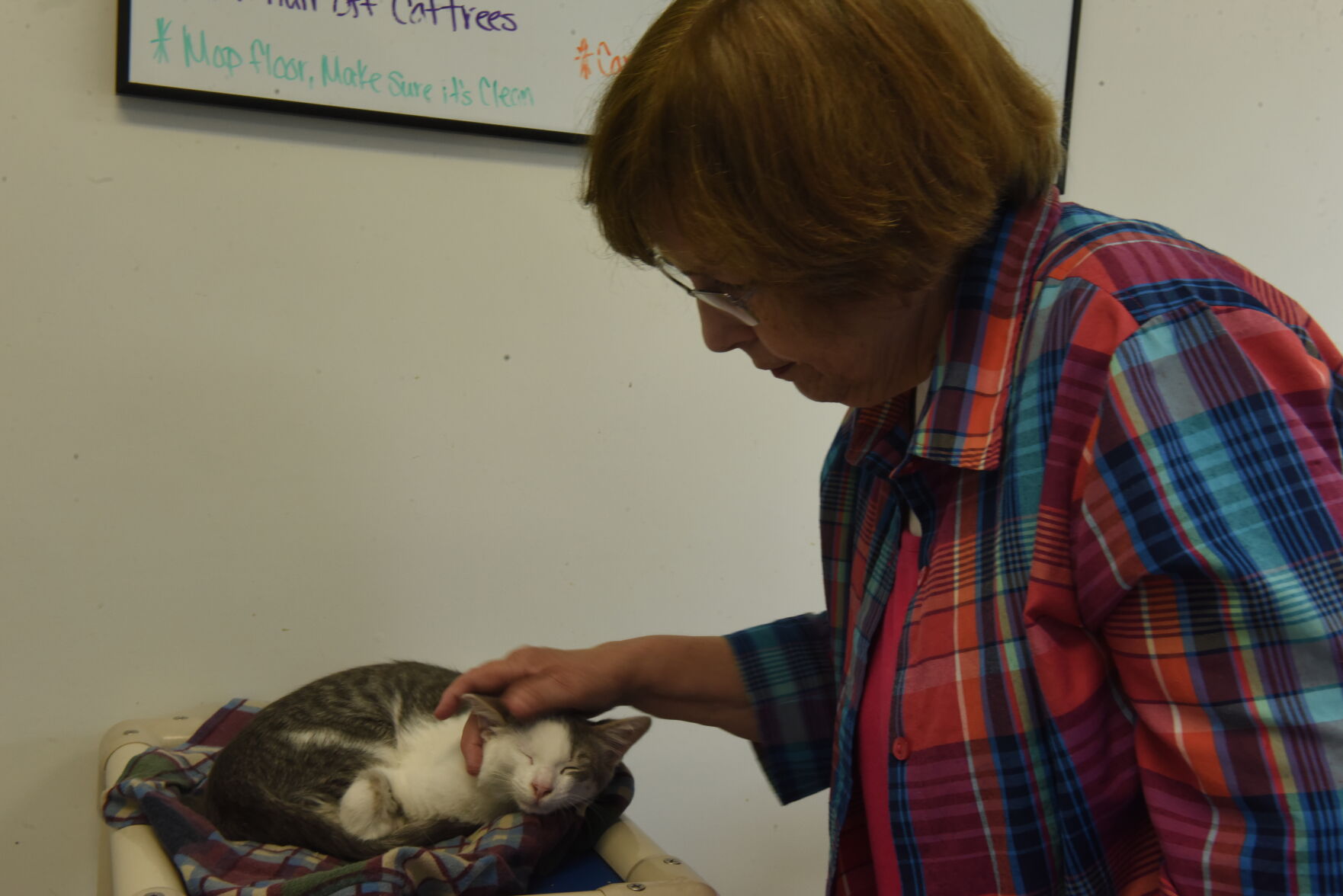 Danville Area Humane Society
